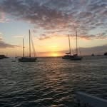 Vince Welsh - @vince.welsh08 - Instagram
