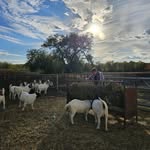 Vince Widener - @widenervince - Instagram