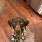 Vincent Wilde - Facebook