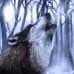Vince Wolf - Facebook