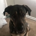 Vincent - @vincentwolfe - Instagram