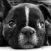 Vincent Addison - Facebook