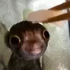 Vincent Aguon - @vincent.aguon - TikTok