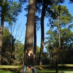 Vincent Ahn - Facebook
