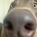 Vincent Akers - Facebook