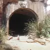 Vincent Alfonso - @vincent.alfonso2 - TikTok