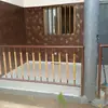 Vincent ALI - @vincent.ali06 - TikTok