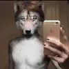 meow - @vincentanapama - TikTok