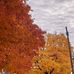 Vincent Ann - Facebook