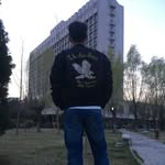 Vincent Anton Freeman - @chenjingming_ - Instagram