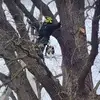 Vincent Armenta - @vincent.armenta - TikTok