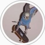 Cool Vincent - @vincent___ashley - Instagram