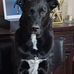 Vincent Ashby - Facebook
