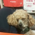 Vincent Atchison - Facebook