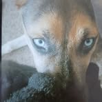 Vincent L Atchison - Facebook