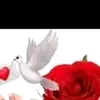Vincent Atienza - @vincent.atienza71 - TikTok