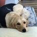 Vincent Auger - Facebook