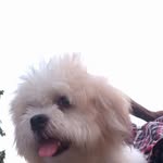 Vincent Augustine - @vincent.augustine.9809 - Instagram
