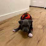 Vincent Aviles - @blu_berrie__ - Instagram