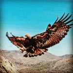 Vincent Baca - @vincentbaca6 - Instagram