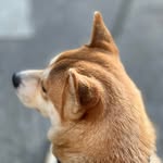 Vincent Bai - @imbitcooked - Instagram