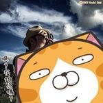 Vincent Bai - @vincentbai9682 - Instagram