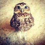 vincent baker - @vincentbakersteven - Instagram