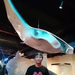 Vincent Balbino - Facebook