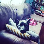 Vincent Baldwin ward - @dabadalinobutt99 - Instagram