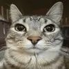 vincentban1 - @vincentban1 - TikTok