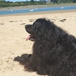Vincent Baron - @vincent.baron.102 - Instagram