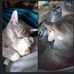 Vincent Bazemore - Facebook