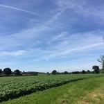 Vincent Bates - @vince.bates - Instagram