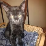 Vincent Bates - @vincent.bates.5059 - Instagram