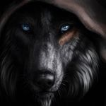 Vincent Baudouin - @vincent_baudouin - Instagram