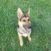 Vincent Baker - Facebook