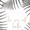 vincent BEAL - @mysol_b - TikTok