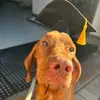 Vincent Bean - @vincent.bean3 - TikTok
