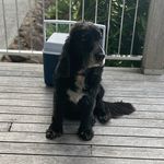 Vincent Dean - @vincent_beanzzza - Instagram