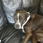 Vincent Behan - @vincentgbehan - Instagram