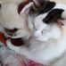 Vincent Behm - Facebook