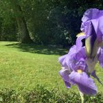 Vincent Rey-Bellet - @vincentlesbois33 - Instagram