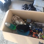 Vincent Blomberg - @vincentblomberg - Instagram