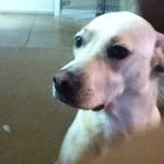 Vincent Brookins - @vincent.brookins.5245 - Instagram