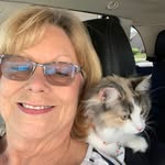 Pam Brunner Vincent - @pambrunnervincent - Instagram