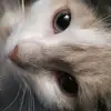 Vincent_Brunner - @vincent_brunner - TikTok