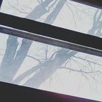 vincent - @vincentbuchanan143 - Instagram