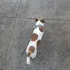 Vincent Bui - @vincent.bui2 - TikTok