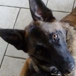 Vincent Burton - @vincent.burton.585 - Instagram
