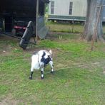 Vincent Byrd - Facebook